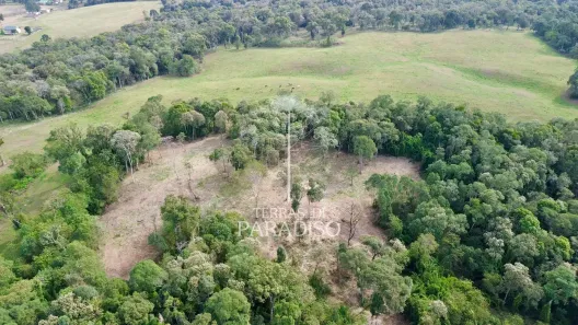 Fazenda/Sítio à venda, 20000m² no , Campo Alegre