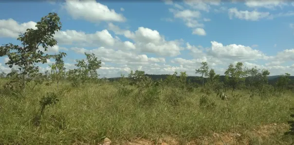 Lote/Terreno à venda, 20000m² no , Cordisburgo