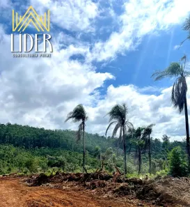 Lote/Terreno à venda, 600m² no Terra Preta (Terra Preta), Mairiporã