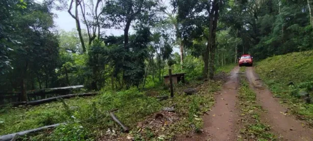 Fazenda/Sítio à venda, 2625m² no , Riozinho