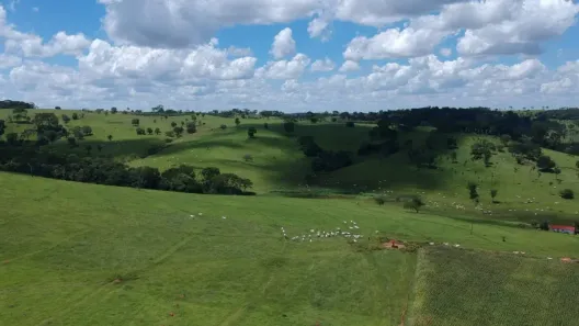 Fazenda/Sítio à venda, 1113200m² no Rural,