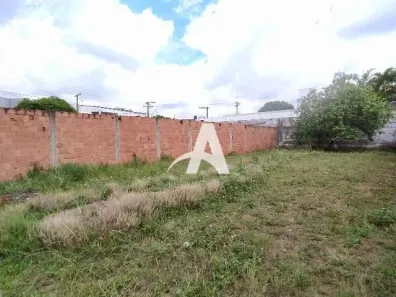 Lote/Terreno para alugar, 250m² no Jardim Patrícia, Uberlândia