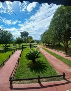 Fazenda/Sítio à venda, 1221m² no Faina, Faina