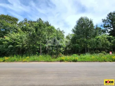 Lote/Terreno à venda, 1287m² no Dos Boêmios, Nova Petrópolis
