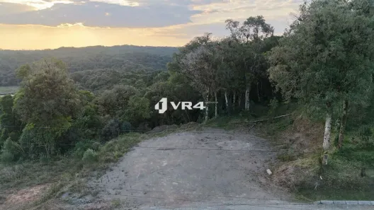 Fazenda/Sítio com 1 Quarto à venda, 24511m² no Borda do Campo, São José dos Pinhais