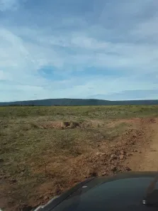 Fazenda/Sítio com 5 Quartos à venda, 7430m² no , Nobres