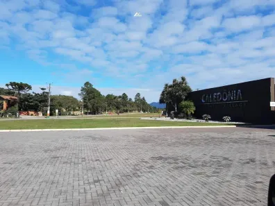 Lote/Terreno à venda, 373m² no Santa Regina, Camboriú