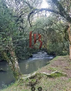 Lote/Terreno à venda, 21398m² no Santa Lúcia do Piaí, Caxias do Sul