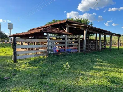 Fazenda/Sítio com 1 Quarto à venda, 605000m² no , Bady Bassitt