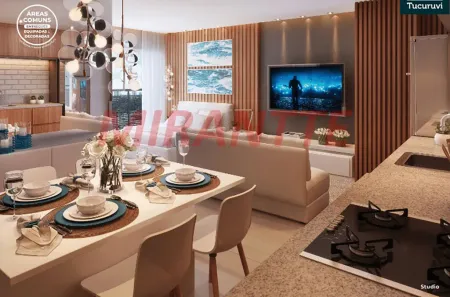 Apartamento com 2 Quartos à venda, 31m² no Vila Paulicéia, São Paulo