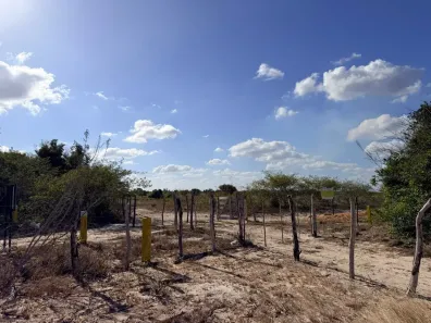 Fazenda/Sítio com 5 Quartos à venda, 3000000m² no , Macaíba