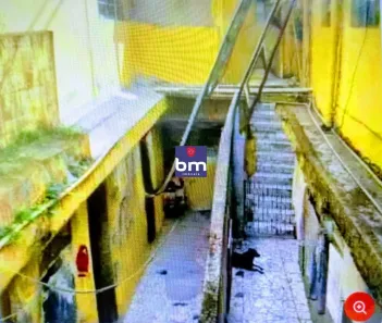 Lote/Terreno à venda, 267m² no Jardim Catanduva, São Paulo