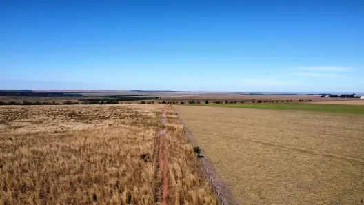 Fazenda/Sítio à venda, 564m² no São Lourenço de Fátima, Juscimeira