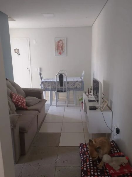 Foto 12