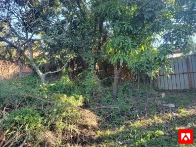 Fazenda/Sítio com 1 Quarto à venda, 50m² no Chácaras de Recreio Cruzeiro do Sul, Santa Bárbara D'Oeste