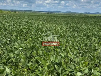 Fazenda/Sítio à venda, 500m² no Serra Pelada, Marabá
