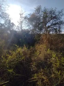 Lote/Terreno à venda, 3200m² no Duque de Caxias, Betim