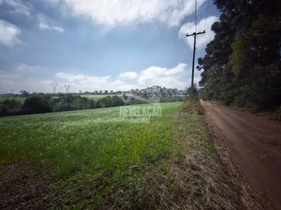Lote/Terreno à venda, 29410m² no Campo Largo da Roseira, São José dos Pinhais