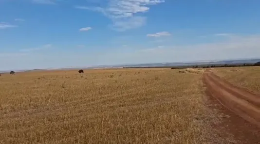 Fazenda/Sítio com 5 Quartos à venda, 168m² no , Bom Jardim de Goiás