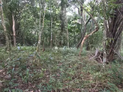 Lote/Terreno à venda, 2000m² no Velha Boipeba, Cairu
