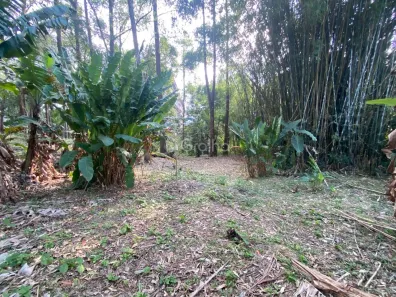 Lote/Terreno à venda, 1500m² no Pantanal, Florianópolis
