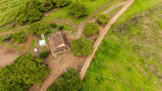 Fazenda/Sítio com 1 Quarto à venda, 1600000m² no , Mogeiro