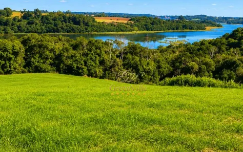 Fazenda/Sítio à venda, 193600m² no Rondinha, Campo Largo