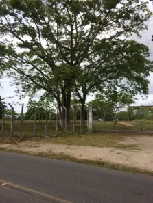 Fazenda/Sítio com 1 Quarto à venda, 110000m² no Guabiraba, Recife