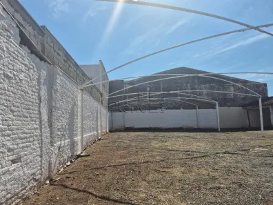 Lote/Terreno para alugar, 600m² no Bonfim, Campinas