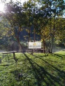 Fazenda/Sítio com 4 Quartos à venda, 200m² no Zona Rural, Monteiro Lobato