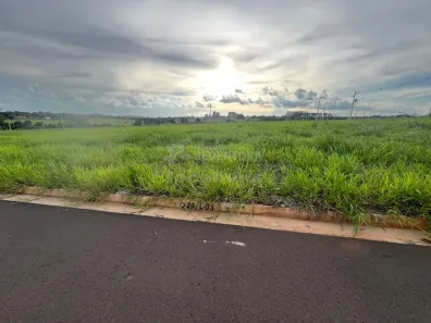 Lote/Terreno à venda, 264m² no Eplenum Tresor, São José do Rio Preto