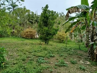 Fazenda/Sítio à venda, 4000m² no Inhuguvira, Cajati