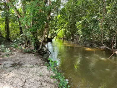 Lote/Terreno à venda, 4100m² no , Rio Preto da Eva