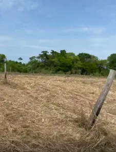 Lote/Terreno à venda, 1500m² no Centro, Cesário Lange