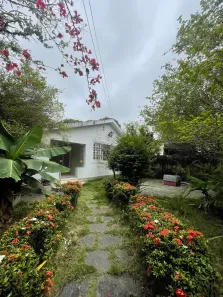 Casa com 3 Quartos à venda, 500m² no Prado, Recife