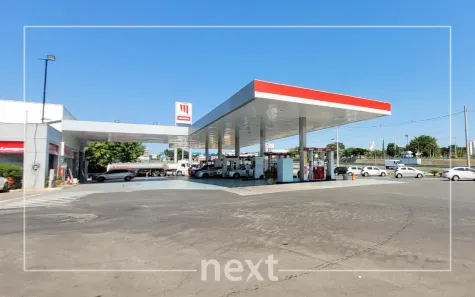Lote/Terreno para alugar, 350m² no Bairro das Palmeiras, Campinas