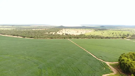 Fazenda/Sítio à venda no , Itiquira