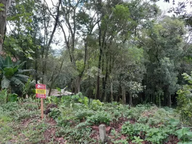 Lote/Terreno à venda, 380m² no Centro, Picada Café