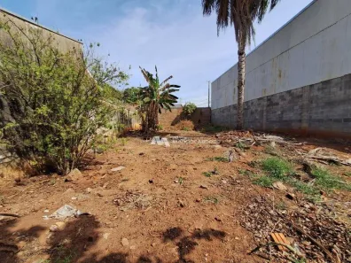 Lote/Terreno à venda, 275m² no Jardim Conceição, São José do Rio Preto