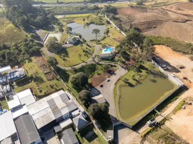 Fazenda/Sítio com 4 Quartos à venda, 630m² no Campo Largo da Roseira, São José dos Pinhais