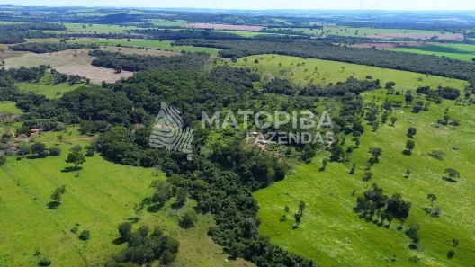 Fazenda/Sítio à venda, 170000m² no , Santa Cruz de Goiás