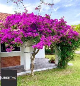 Casa com 5 Quartos à venda, 137m² no Imbé, Imbé