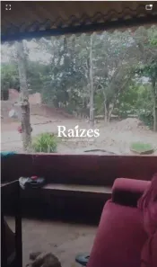 Fazenda/Sítio com 3 Quartos à venda, 95m² no Área Rural de Uberlândia, Uberlândia