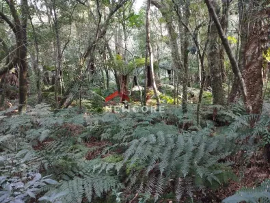 Lote/Terreno à venda, 2510m² no Centro, São Francisco de Paula