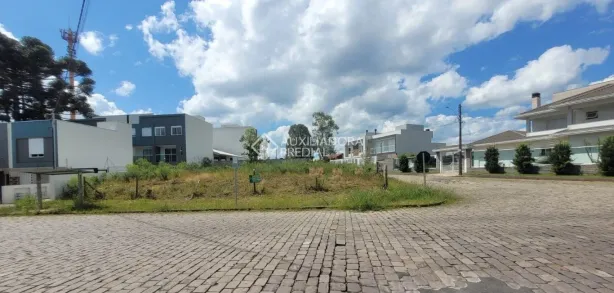 Lote/Terreno à venda, 443m² no São Virgílio, Caxias do Sul