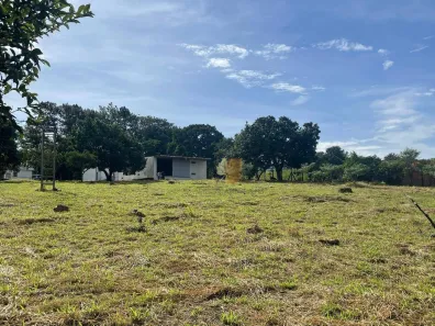 Fazenda/Sítio com 2 Quartos para venda ou aluguel, 10000m² no Chácaras Alpina, Valinhos