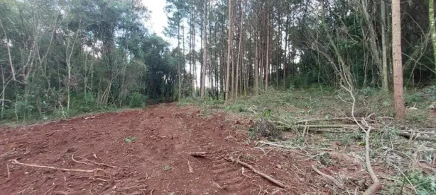 Lote/Terreno à venda, 40000m² no , Picada Café