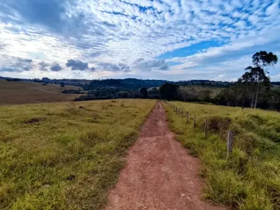 Fazenda/Sítio com 3 Quartos à venda, 175450m² no , São Sebastião do Paraíso