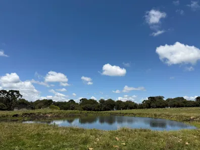 Lote/Terreno à venda, 20000m² no , Urupema