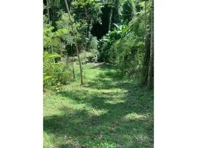 Lote/Terreno à venda, 126600m² no , Rio dos Cedros